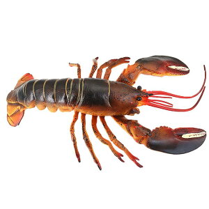 uX^[ Jj Cm tBMA ͌^  zr[ l` RNV CeA ~j`A A vX`bN  q Mtg 