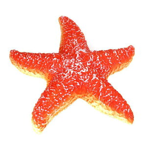 qgf Cm tBMA ͌^  zr[ l` RNV CeA ~j`A A q Mtg vX`bN Jj hJ ^R