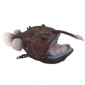 ARE tO G[tBbV Cm tBMA ͌^  zr[ l` RNV CeA ~j`A A ͋[ q Mtg 