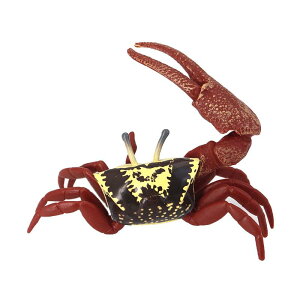 Jj VI}lL uX^[ Cm tBMA ͌^  zr[ l` RNV CeA ~j`A A vX`bN i q 