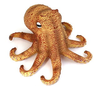 ^R tO Jj Cm tBMA ͌^  zr[ l` RNV CeA ~j`A A ͋[ \tgo[ q Mtg 