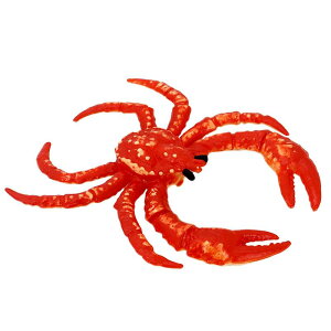 Jj hJ Cm tBMA ͌^  zr[ l` RNV CeA ~j`A A ͋[ vX`bN q Mtg 