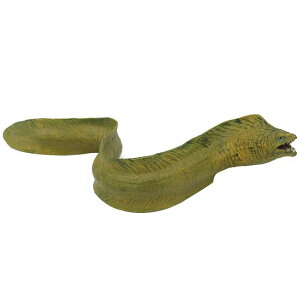 EiM tO Mы Cm tBMA ͌^  zr[ l` RNV CeA ~j`A A ͋[ q  v[g