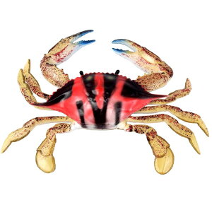 Jj Cm tBMA ͌^  zr[ l` RNV CeA ~j`A A ͋[ xjoi vX`bN q v[g 