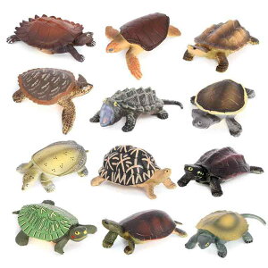 �J�� �C�m���� �t�B�M���A �͌^ �������� �z�r�[ �l�` �R���N�V���� �C���e���A �~�j�`���A ���A�� �͋[ �~�j �T �q�� �����i �z�[���f�R �v���[���g