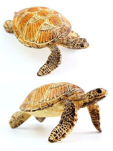 J AVJ T CJ Cm tBMA ͌^  zr[ l` RNV CeA ~j`A A ͋[  q vX`bN