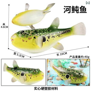 tO JTS IR[ Cm tBMA ͌^  zr[ l` RNV CeA ~j`A A ͋[  q  vX`bN