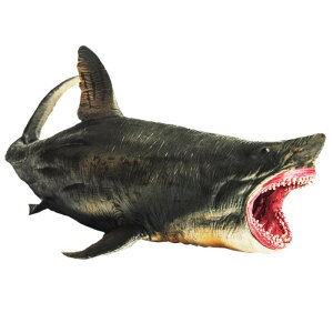 T Kh Cm tBMA ͌^  zr[ l` RNV CeA ~j`A A g  q j̎q ̎q Mtg