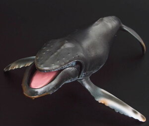 NW Cm tBMA ͌^  zr[ l` RNV CeA ~j`A A ͋[ q Mtg  v[g j̎q ̎q