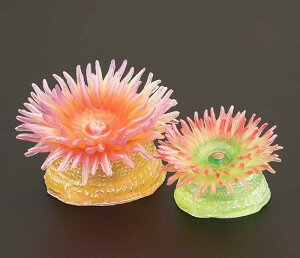 �C�\�M���`���N �C�m���� �t�B�M���A �͌^ �������� �z�r�[ �l�` �R���N�V���� �C���e���A �~�j�`���A ���A�� �q�� �V�~�����[�V���� ���� �M�t�g