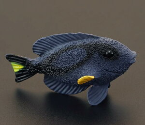  Cm tBMA ͌^  zr[ l` RNV CeA ~j`A A q ͋[ LOtBbV Mtg i 