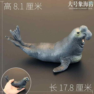 AUV Cm tBMA ͌^  zr[ l` RNV CeA ~j`A A q ͋[ Mtg i  v[g