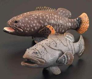 n^  Cm tBMA ͌^  zr[ l` RNV CeA ~j`A A q V~[V Mtg i 