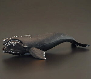 クジラ 海洋生物 フィギュア 模型 おもちゃ ホビー 人形 コレクション インテリア ミニチュア リアル 子供 シミュレーション プレゼント 装飾品 教育