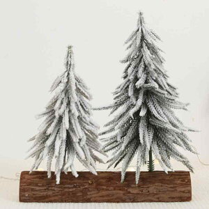 NX}X i k ~j  c[ CeA  X  z[ fBXvC V[