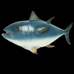 キハダマグロ 海洋生物 フィギュア 模型 おもちゃ ホビー 人形 コレクション インテリア ミニチュア リアル 子供 教育 ソフト プラスチック 装飾品