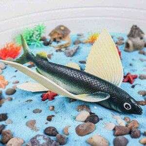 grEI Cm tBMA ͌^  zr[ l` RNV CeA ~j`A A q V~[V  Ȋw  vX`bN