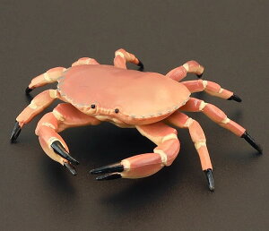 Jj Nu Cm tBMA ͌^  zr[ l` RNV CeA ~j`A A  q V~[V Mtg i