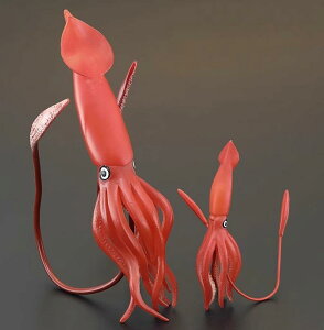 CJ Cm tBMA ͌^  zr[ l` RNV CeA ~j`A A q  V~[V Mtg i