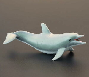 CJ Cm tBMA ͌^  zr[ l` RNV CeA ~j`A A q ͋[ v[g i  htB