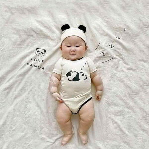 xr[EFA Ԃ ėp   p[X p_  V  c K JWA o Xqt