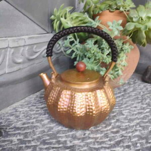 }{ eB[|bg r J{`^ |bg  Pg ~jTCY fUC CeA ` ƒp eB[Zbg AeB[N