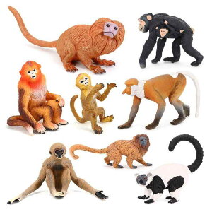 `pW[ eiKU eOU tBMA l` zr[  ͌^ V~[V  A RNV fBXvC ~j`A ސl q