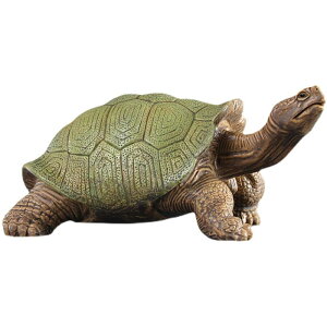 J tBMA l` zr[  ͌^ V~[V  A RNV fBXvC ~j`A KpSX]EK q Mtg i 