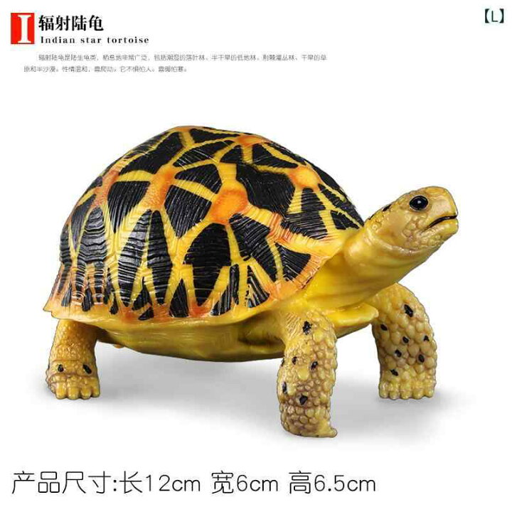 2026年最新】Yahoo!オークション -real 亀の中古品・新品・未使用品一覧 BACALYSO | 博物志 ガラパゴスゾウガメ 12cm級 亀 カメ フィギュア 動物 模型 置物 インテリア コレクション リア