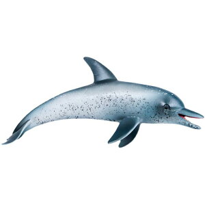 CJ tBMA l` zr[  ͌^ V~[V  A RNV fBXvC ~j`A ͋[ vX`bN q Ȋw  Mtg