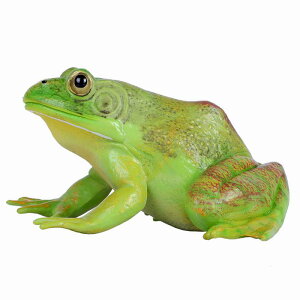 JG tBMA l` zr[  ͌^  A RNV fBXvC ~j`A EVKG A}KG q Ȋw   Mtg