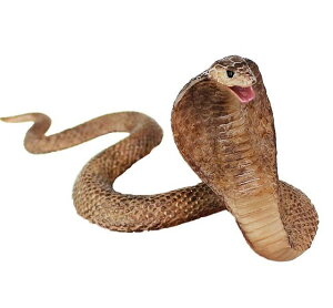 wr tBMA l` zr[  ͌^ V~[V  A RNV fBXvC ~j`A Ru tFCN  q Mtg