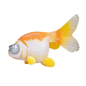   Ai tBMA l` zr[  ͌^ V~[V A RNV fBXvC ~j`A Ϗ܋ q  Mtg i