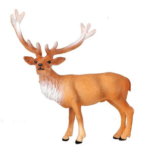 giJC  tBMA l` zr[  ͌^ V~[V  A RNV fBXvC ~j`A ͋[ q Ȋw  v[g