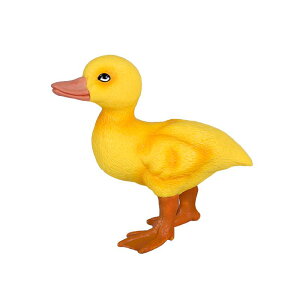 Aq K`E tBMA l` zr[  ͌^ V~[V  A RNV fBXvC ~j`A q  v[g