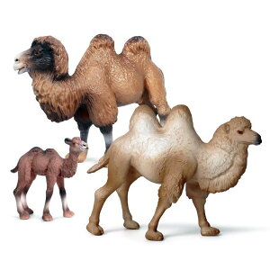 N_ L tBMA l` zr[  ͌^ 킢 Mtg  A RNV fBXvC ~j`A q ͋[ i 