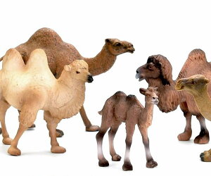 N_ tBMA l` zr[  ͌^ V~[V  A RNV fBXvC ~j`A ͋[ q  v[g IuWF