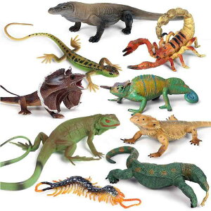 gJQ N T\ tBMA l` zr[  ͌^ V~[V A RNV fBXvC ~j`A ͋[ q   ঒