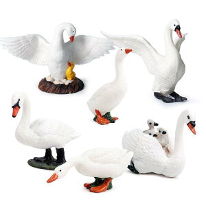 Aq X tBMA l` zr[  ͌^ V~[V  A RNV fBXvC ~j`A q  vX`bN i