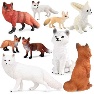 Lcl tHbNX tBMA l` zr[  ͌^ V~[V  A RNV fBXvC ~j`A 킢 q i 