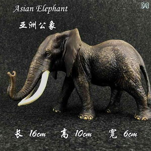 CI   L tBMA l` zr[  ͌^ V~[V  A RNV fBXvC ~j`A ͋[ q  Aj}