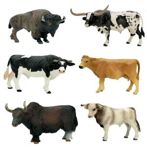  obt@[ tBMA l` zr[  ͌^ V~[V  A RNV fBXvC ~j`A ͋[ q _ Mtg