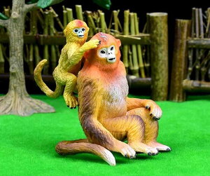 T L[ tBMA l` zr[  ͌^ V~[V  A RNV fBXvC ~j`A q  Mtg  LbY