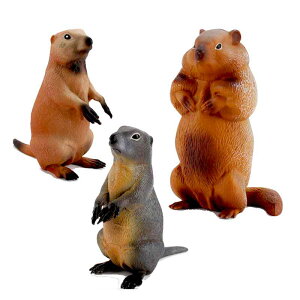 v[[hbO tBMA l` zr[  ͌^ V~[V  A RNV fBXvC ~j`A 킢 q ͋[  i