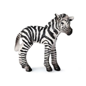 p_ yM L TC tBMA l` zr[  ͌^ V~[V  A RNV fBXvC ~j`A q i 