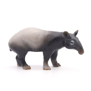 }[oN AWA   q   Mtg ~j`A 쐶    tBMA ͌^ A