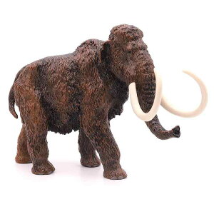 }X n jT Ñ  Mtg q i ~j`A 쐶    tBMA ͌^ A