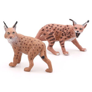 ~j`A 쐶    tBMA ͌^ A L II}lR  q i RNV