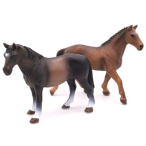 ~j`A 쐶    tBMA ͌^ A nm[t@[ n  F  q mߋ Rώ@