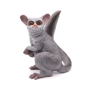  ͌^ ~j`A Ԃ T 쐶   q Mtg i tBMA A  NW m